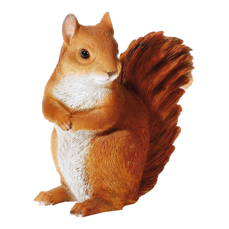# Squirrel