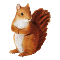 # Squirrel