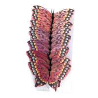 # Butterfly