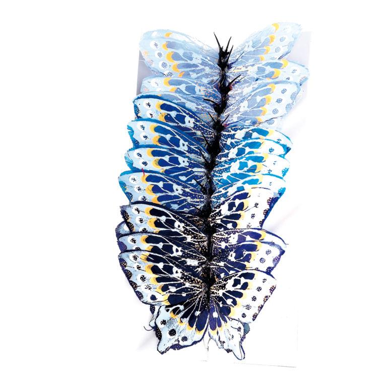 # Butterfly