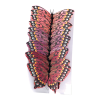 # Butterfly