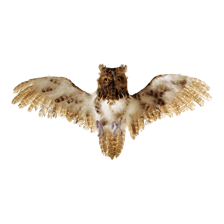 Owl, flying,