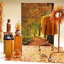 Herfst B.jpg