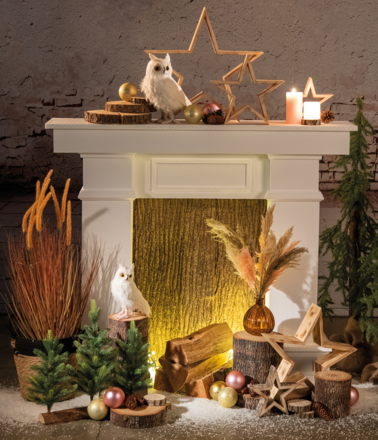 Kerst 096