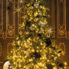 Kerst 162.png