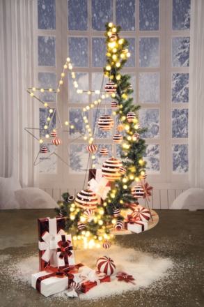 Kerst 232