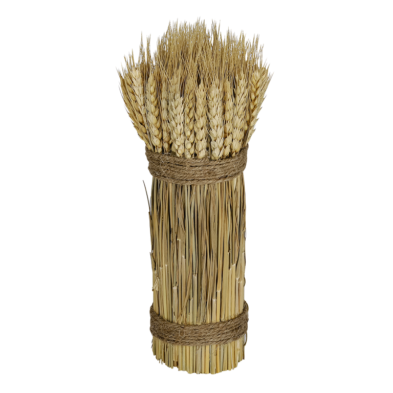 "Natural wheat bundles 8 x 28 cm"