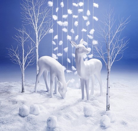 Winter 095