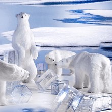 Winter 102.jpg