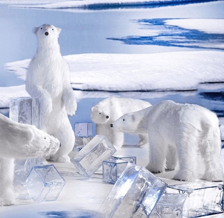 Winter 102