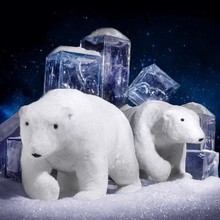 Winter 103.jpg