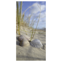 "Flame retardant fabric banner shells in the sand "