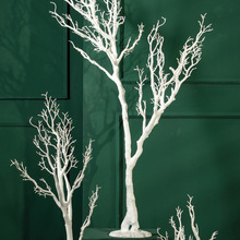 Winter 60.jpg