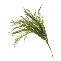 Grass bundle
