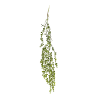 Leaf hanger