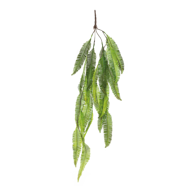 Fern bush hanger
