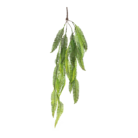 Fern bush hanger