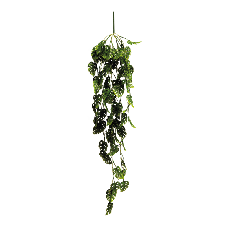 Monstera hanger