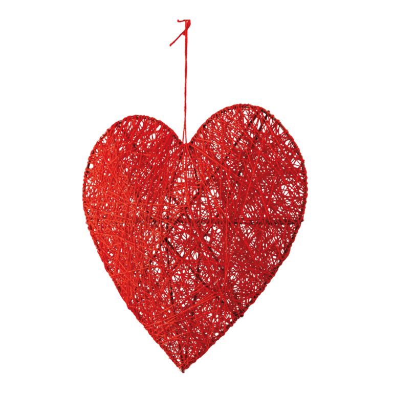 3D Heart