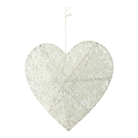 3D Heart