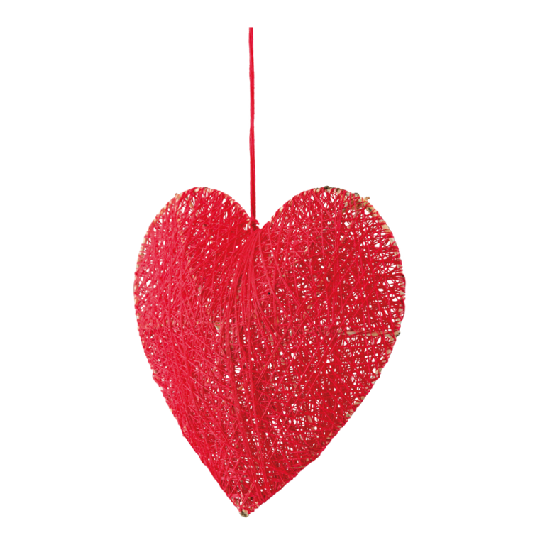 3D Heart