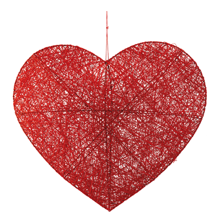 3D Heart