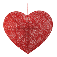 3D Heart