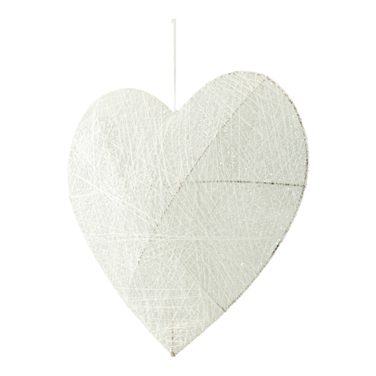 3D Heart