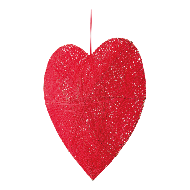 3D Heart