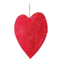 3D Heart