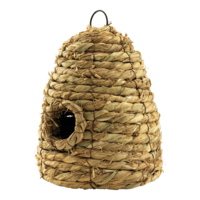 Beehive