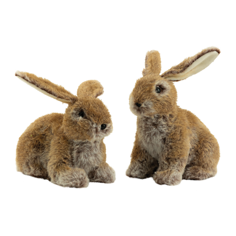 Rabbits