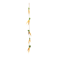 Carrot garland