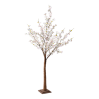 Cherry blossom tree