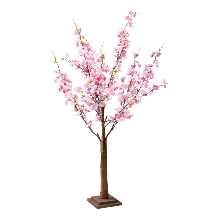 Cherry blossom tree