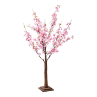 Cherry blossom tree