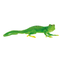Gecko