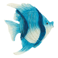 Tropical fish