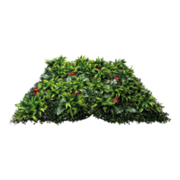 Grass panel