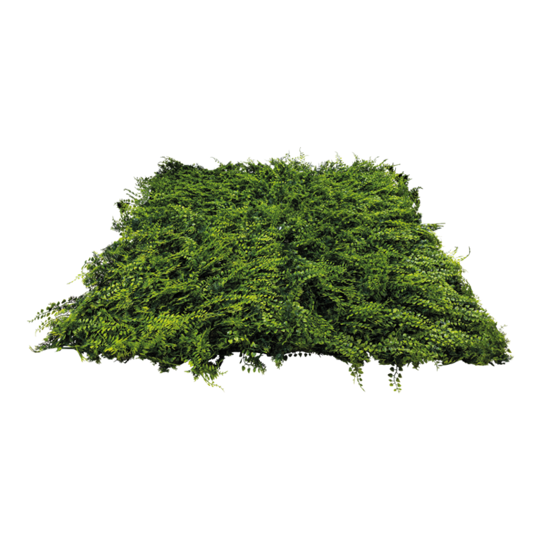 Boxwood panel