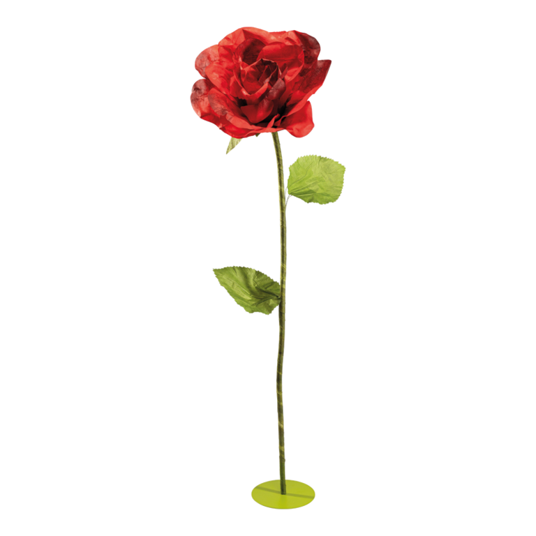 Rose head