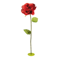 Rose head