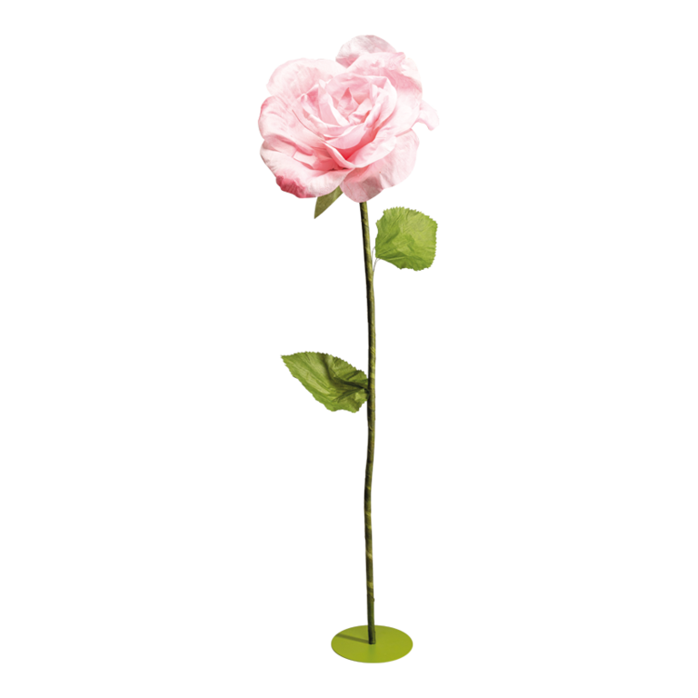 Rose head