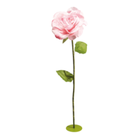 Rose head