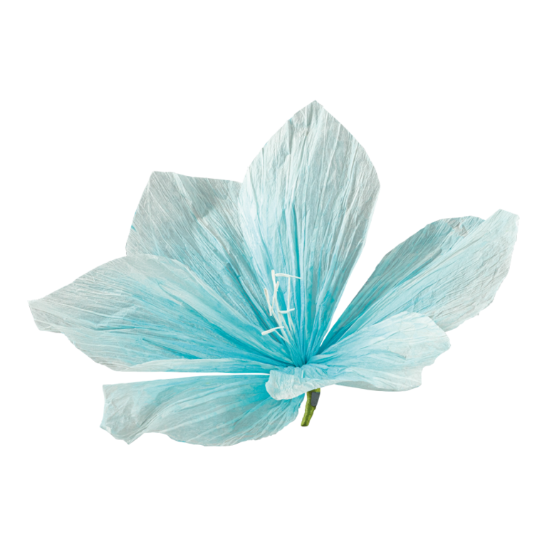Flower head