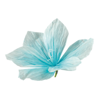 Flower head