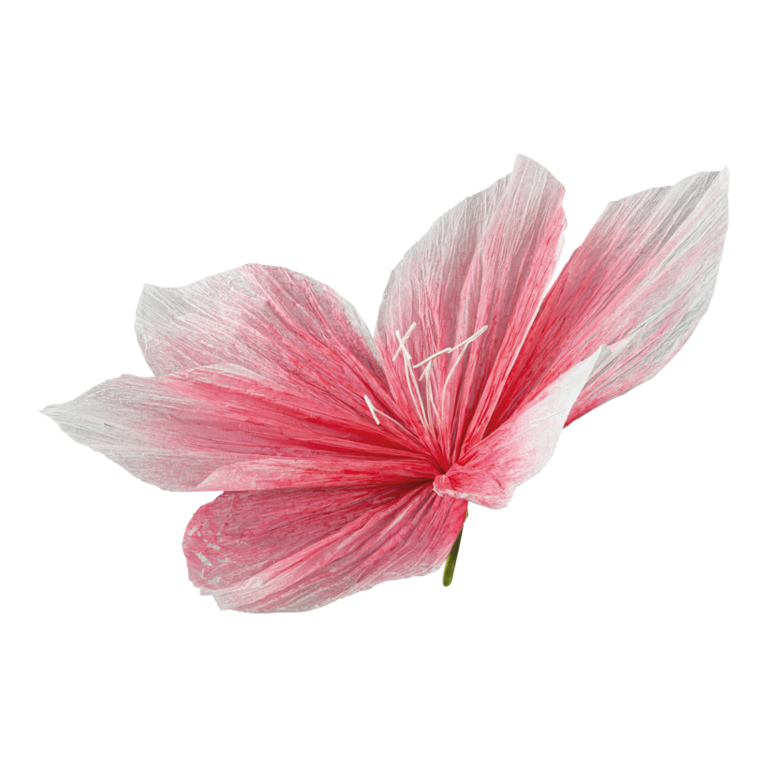 Flower head