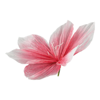 Flower head