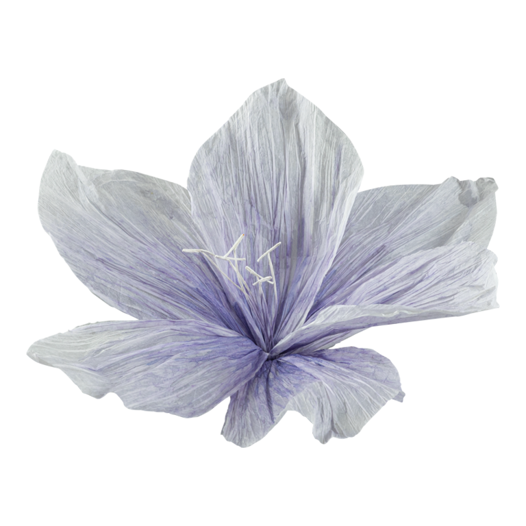 Flower head