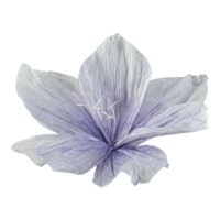 Flower head